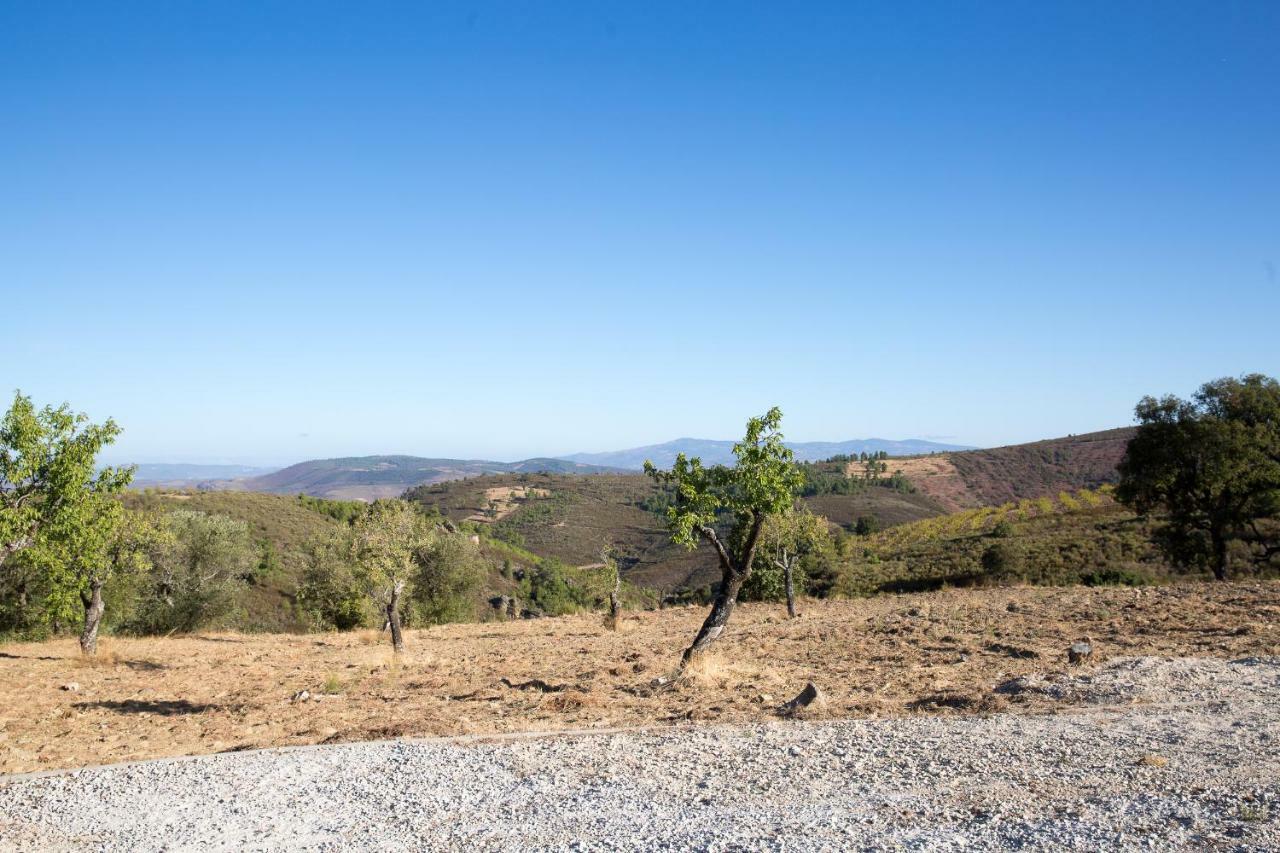 Desafios Da Horta Βίλα Souto da Velha Εξωτερικό φωτογραφία