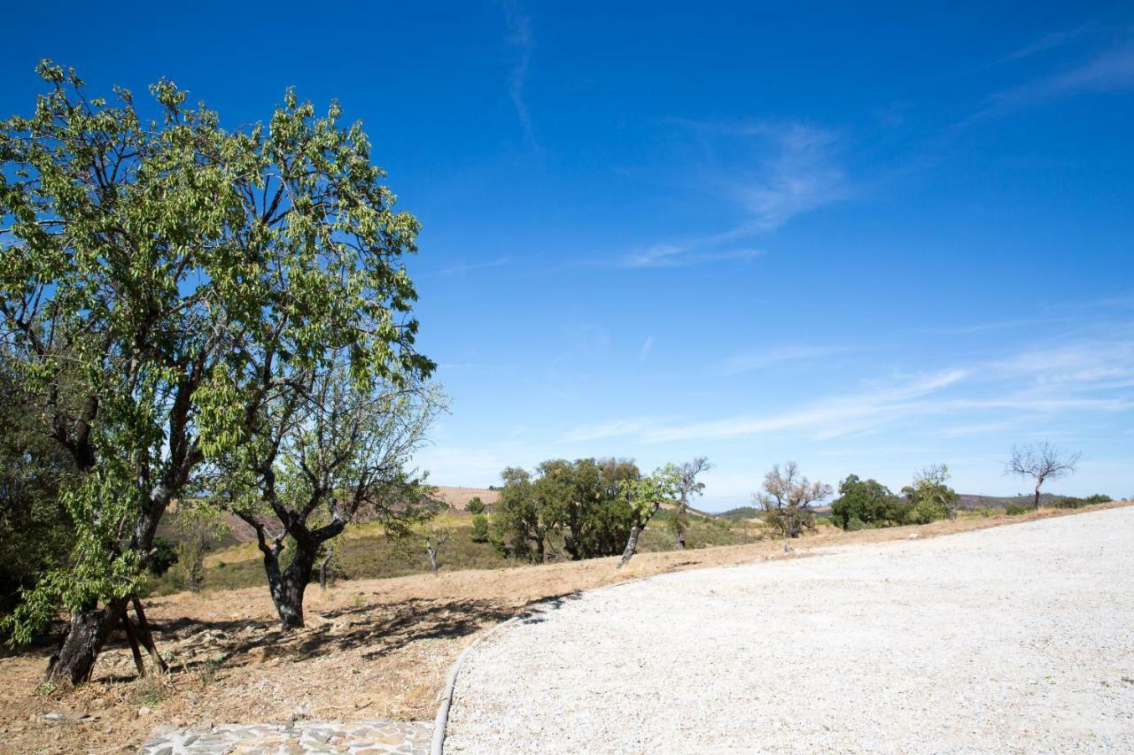 Desafios Da Horta Βίλα Souto da Velha Εξωτερικό φωτογραφία
